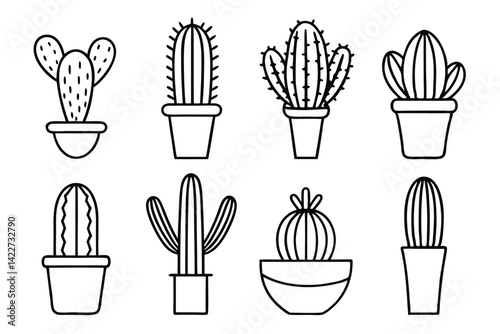 Cactus Minimal Concepts for Modern Interior Spaces