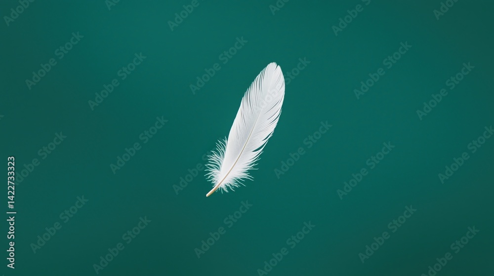 A delicate white feather floats gracefully on a vibrant teal background, emphasizing simplicity and beauty in nature. A delicate white feather floats gracefully on a vibrant teal background, emphasizing simplicity and beauty in nature.