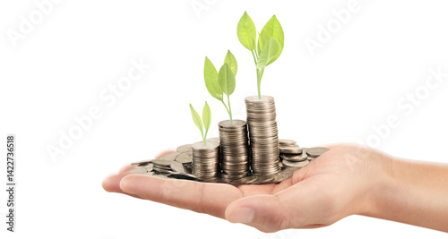 Investment growth strategies financial markets infographic business environment close-up view sustainable development