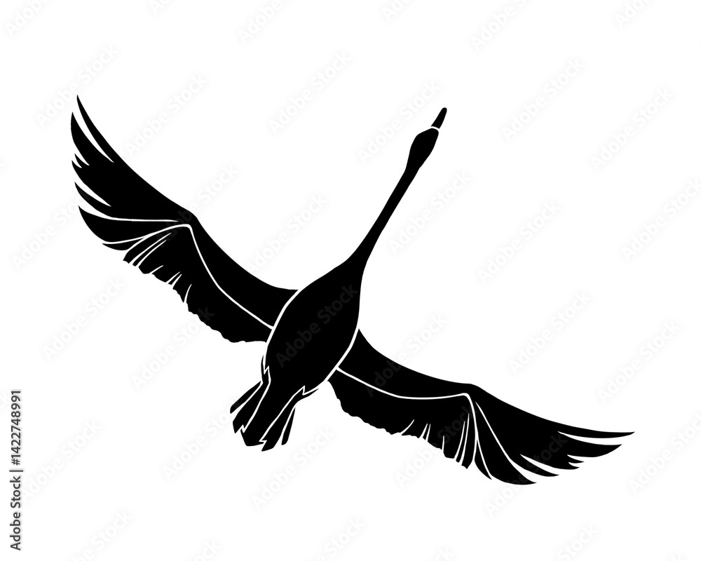 Obraz premium 翼を広げて飛ぶ白鳥の白黒イラスト（白フチあり）