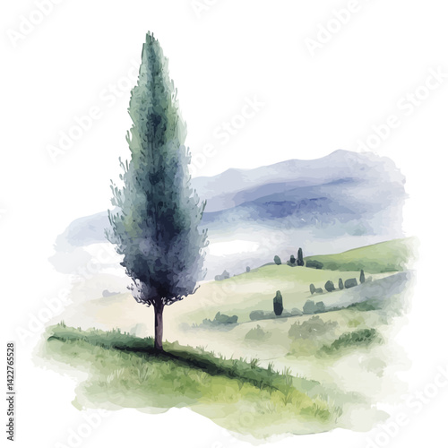 Cypress Tree In A Misty Landscape, watercolor vector, isolated on a white background.