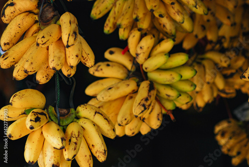 Fresh bananas hanging yellow and black spots in front of a traditional fruit market shop, ripe and sweet bananas from organic fruit farmers are sold in a traditional market