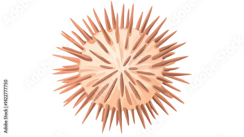 Close-up: A three-dimensional abstract wooden sphere. The sphere is light beige in color, with numerous sharp spikes radiating out from the center.