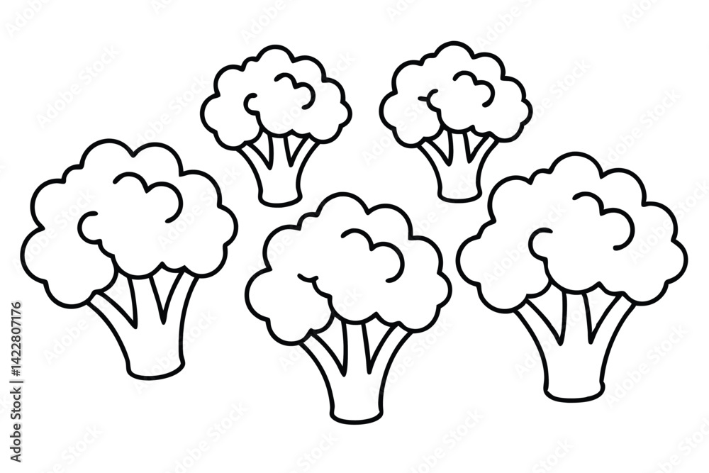 Broccoli Boosts Health With Essential Vitamins And Minerals Broccoli Boosts Health With Essential Vitamins And Minerals