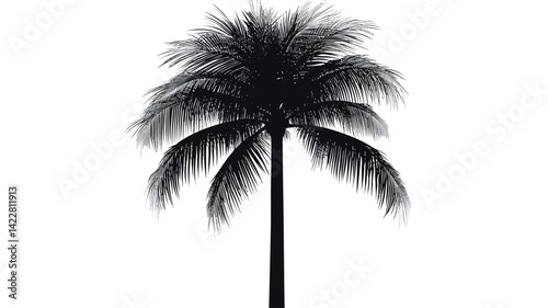 This image shows a sharp, high-contrast silhouette of a palm tree against a pure white background. The silhouette is rendered in pure black, bringing out the details of the palm tree.