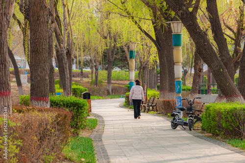 Landscape of rivers, plants, trees, buildings, and bridges in urban parks