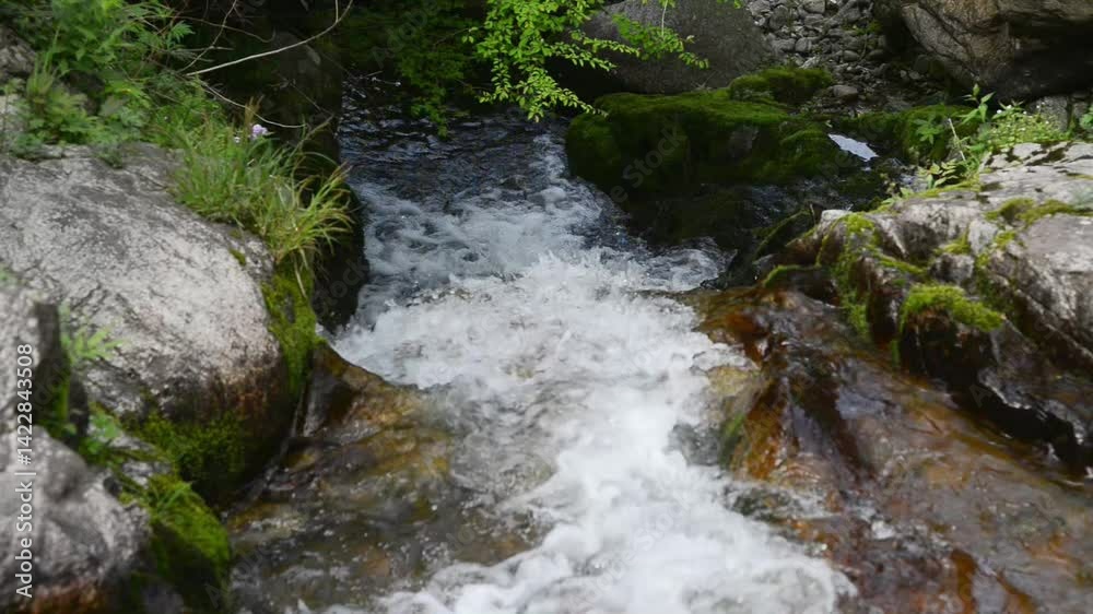 small waterfall in the forest small waterfall in the forest