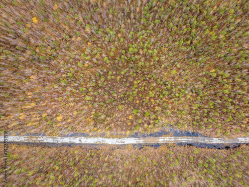 Obraz na płótnie Aerial view of road in beautiful autumn forest at sunset. Beautiful landscape with empty rural road, trees with red and orange leaves. w salonie