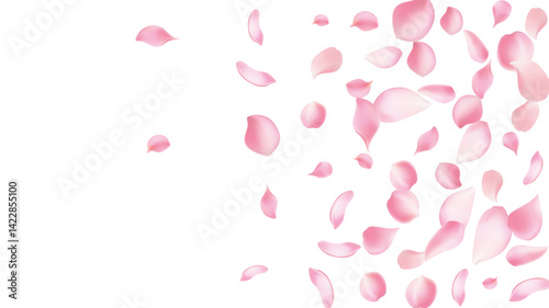 Rose petals or sakura flying petals, romantic background with realistic pink cherry flower petals flow or falling motion. Love, romance, floral spring season,cherry blossom