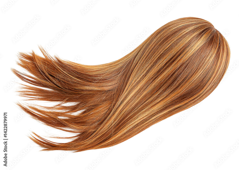 Fototapeta premium Long brown hair with blonde highlights isolated on transparent background. Concept of beauty, hairstyle, and hair care.