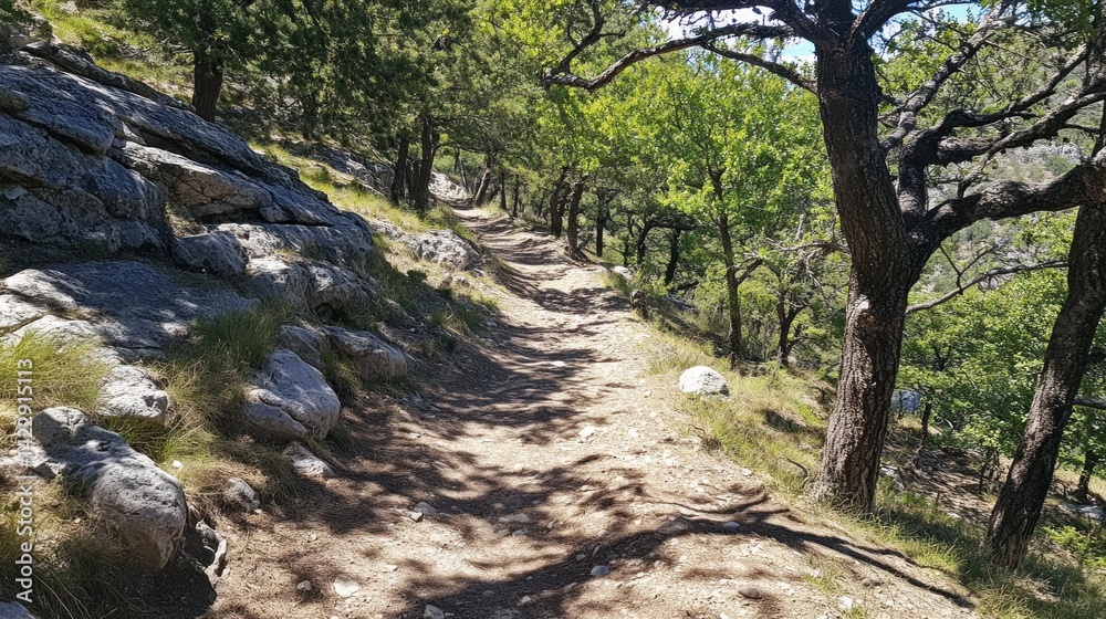 Sun-dappled mountain trail winding through a pine forest. Sun-dappled mountain trail winding through a pine forest.