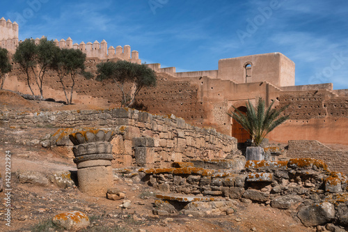 Ancient Roman Citadel ruin Chellah, a garden complex in Rabat, Morocco