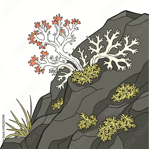 vector illustration of algae