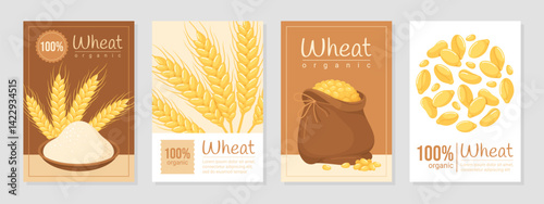 Organic wheat grain cereal harvest greeting post card design template set vector flat