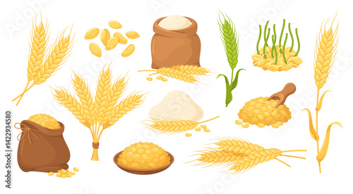 Wheat cereal natural organic plant growing autumn harvest set isometric vector illustration