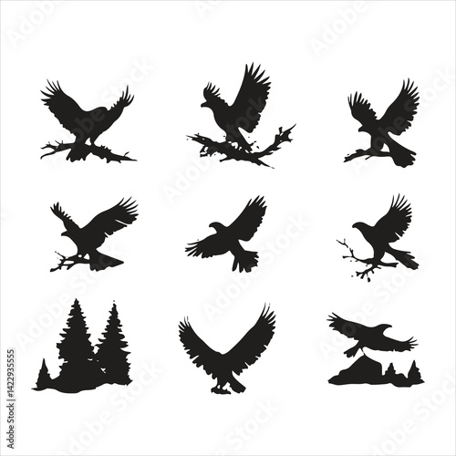 Eagle silhouette 