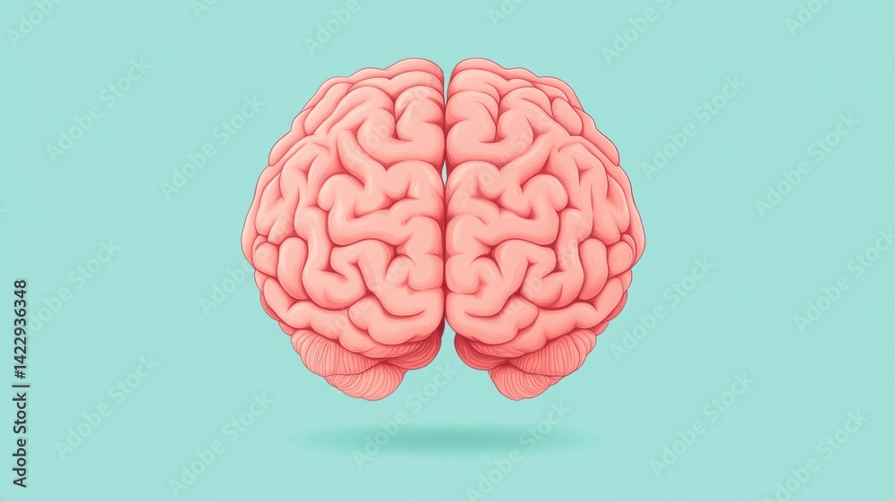 Colorful rendering of a human brain showcasing intricate details of the neural structure and highlighting its importance in cognitive functions and intelligence.