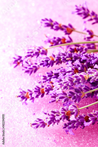 Bunch of purple lavender flowers are arranged on a pink background. The flowers are in full bloom and are arranged in a way that they look like they are growing out of the ground
