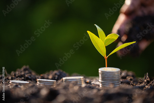 Business growth concept involves strategic financial management save money coin investment loan bank real estate economic development encourage buy income stack investment economy return accountancy