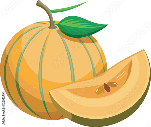 A vibrant vector art illustration of a delicious cantaloupe fruit, showcasing juicy texture, fresh slices, and vivid summery colors in detail.