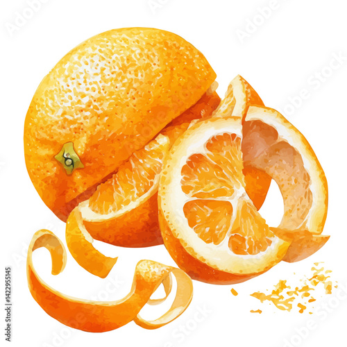Zested Orange With Curls Of Peel, vector watercolor illustration, isolated on a white background.