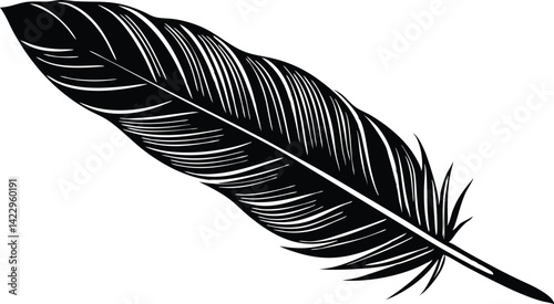 Detailed black and white feather illustration for art and design projects