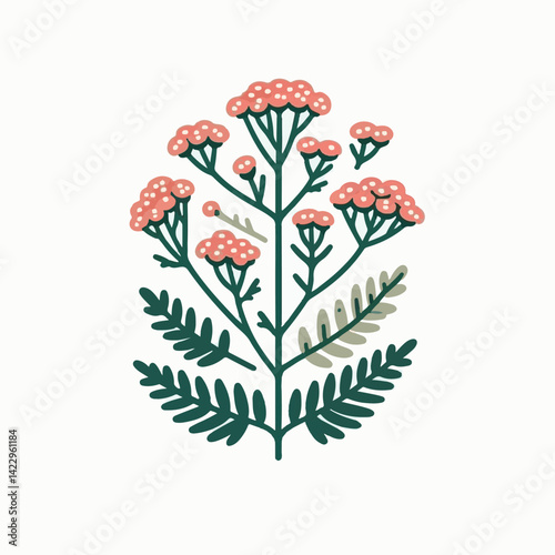 plant, yarrow, background, blossom, flower, nature, herb, medicine, garden, white, bloom, natural, leaf, green, floral, achillea millefolium, beautiful, achillea, herbal, petal, milfoil, blooming, flo