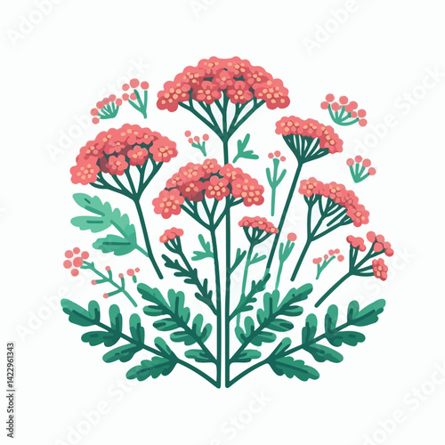 plant, yarrow, background, blossom, flower, nature, herb, medicine, garden, white, bloom, natural, leaf, green, floral, achillea millefolium, beautiful, achillea, herbal, petal, milfoil, blooming, flo