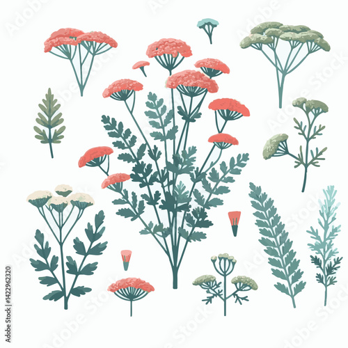 plant, yarrow, background, blossom, flower, nature, herb, medicine, garden, white, bloom, natural, leaf, green, floral, achillea millefolium, beautiful, achillea, herbal, petal, milfoil, blooming, flo