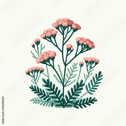 plant, yarrow, background, blossom, flower, nature, herb, medicine, garden, white, bloom, natural, leaf, green, floral, achillea millefolium, beautiful, achillea, herbal, petal, milfoil, blooming, flo