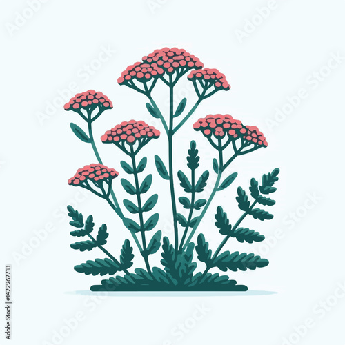 plant, yarrow, background, blossom, flower, nature, herb, medicine, garden, white, bloom, natural, leaf, green, floral, achillea millefolium, beautiful, achillea, herbal, petal, milfoil, blooming, flo