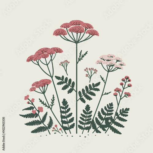 plant, yarrow, background, blossom, flower, nature, herb, medicine, garden, white, bloom, natural, leaf, green, floral, achillea millefolium, beautiful, achillea, herbal, petal, milfoil, blooming, flo