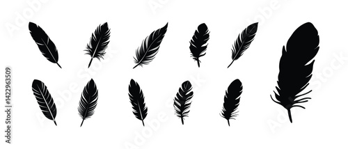 Bird feather vector silhouette, set of feather silhouette.
