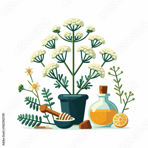 plant, yarrow, background, blossom, flower, nature, herb, medicine, garden, white, bloom, natural, leaf, green, floral, achillea millefolium, beautiful, achillea, herbal, petal, milfoil, blooming, flo