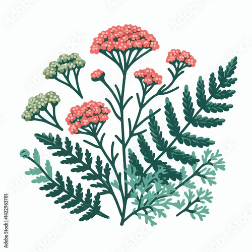 plant, yarrow, background, blossom, flower, nature, herb, medicine, garden, white, bloom, natural, leaf, green, floral, achillea millefolium, beautiful, achillea, herbal, petal, milfoil, blooming, flo