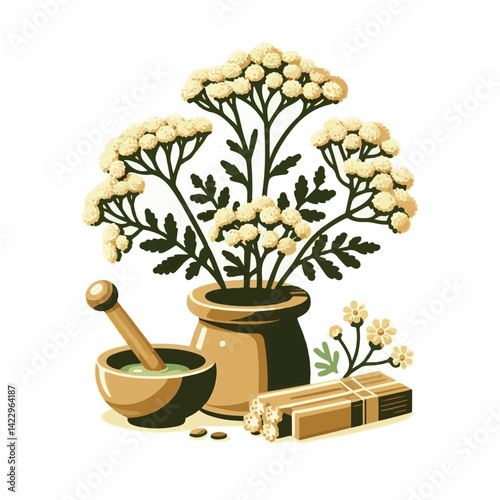 plant, yarrow, background, blossom, flower, nature, herb, medicine, garden, white, bloom, natural, leaf, green, floral, achillea millefolium, beautiful, achillea, herbal, petal, milfoil, blooming, flo