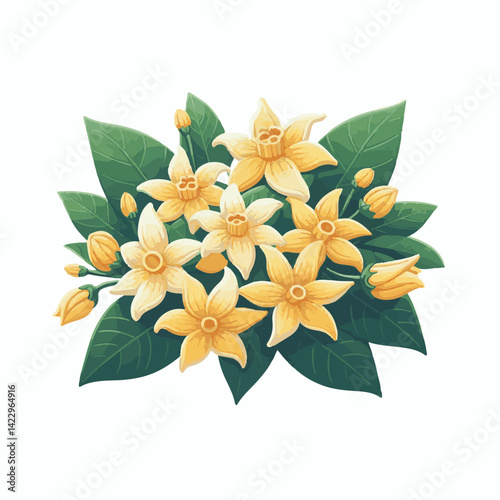plant, blossom, nature, flora, bloom, aromatherapy, flower, natural, aroma, yellow, leaf, tropical, beauty, cananga, perfume, green, isolated, botanical, background, spa, essential, fragrance, organic