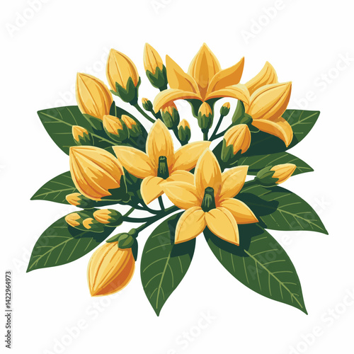 plant, blossom, nature, flora, bloom, aromatherapy, flower, natural, aroma, yellow, leaf, tropical, beauty, cananga, perfume, green, isolated, botanical, background, spa, essential, fragrance, organic