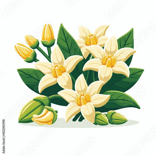 plant, blossom, nature, flora, bloom, aromatherapy, flower, natural, aroma, yellow, leaf, tropical, beauty, cananga, perfume, green, isolated, botanical, background, spa, essential, fragrance, organic