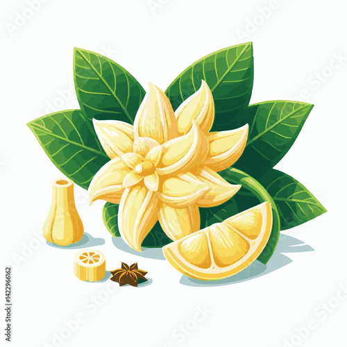 plant, blossom, nature, flora, bloom, aromatherapy, flower, natural, aroma, yellow, leaf, tropical, beauty, cananga, perfume, green, isolated, botanical, background, spa, essential, fragrance, organic