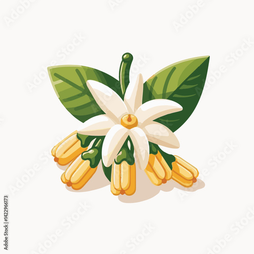 plant, blossom, nature, flora, bloom, aromatherapy, flower, natural, aroma, yellow, leaf, tropical, beauty, cananga, perfume, green, isolated, botanical, background, spa, essential, fragrance, organic