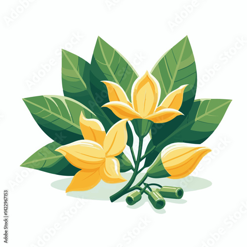 plant, blossom, nature, flora, bloom, aromatherapy, flower, natural, aroma, yellow, leaf, tropical, beauty, cananga, perfume, green, isolated, botanical, background, spa, essential, fragrance, organic