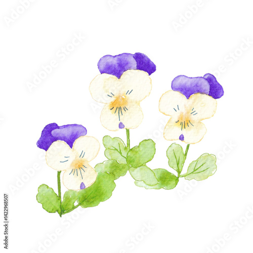 水彩で描いたビオラの花のイラスト