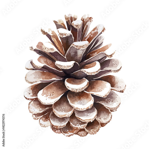 Winter Pine Cone Decoration, vector watercolor illustration, isolated on a white background.