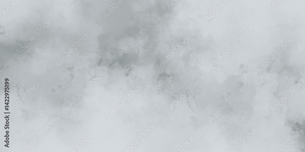 Fototapeta premium Abstract texture composed of gentle white and light gray cloudy formations, creating a foggy, atmospheric effect. Harsh lines or edges, only seamless blending, creating a tranquil, dreamlike backgroun