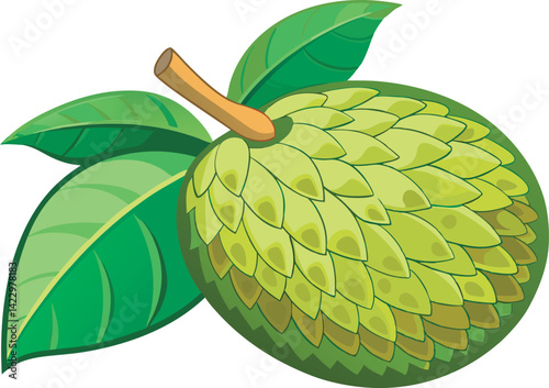 A vibrant vector illustration showcasing delicious breadfruit, highlighting its tropical appeal with rich colors and artistic detail, perfect for design use.