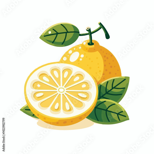 citrus, yuzu, japan, fruit, food, fresh, japanese, ingredients, plant, winter solstice, organic, asian, yellow, tropical, orchard, healthy, fruit juice, isolated, nature, refreshing, fragrant, flavor,