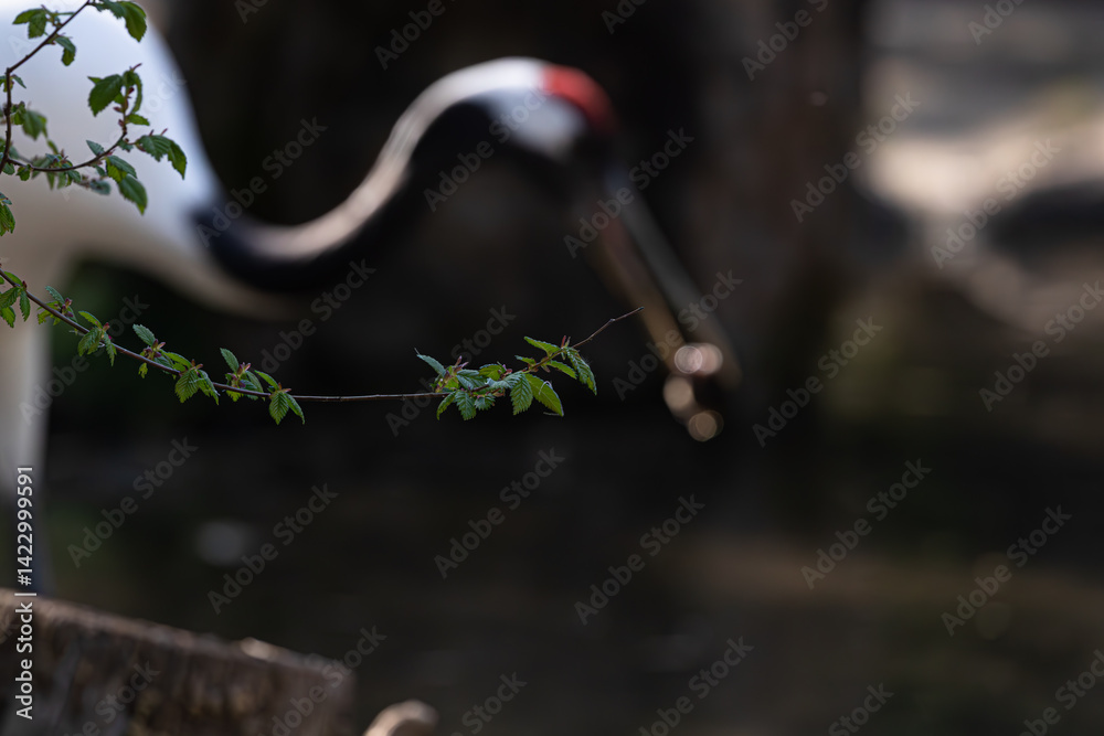 Close-up of spring leaves on a twig. Abstract, soft-focus background features a crane shape. Nature detail.