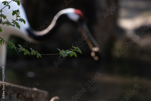 Obraz na płótnie Close-up of spring leaves on a twig. Abstract, soft-focus background features a crane shape. Nature detail. w salonie