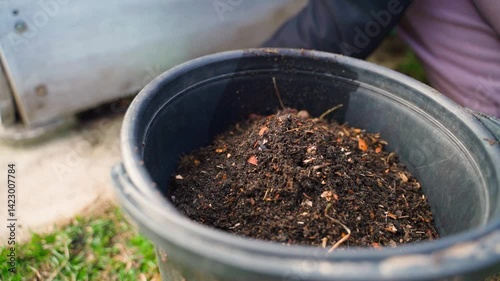 Wallpaper Mural Black plastic bucket with compost close-up Torontodigital.ca